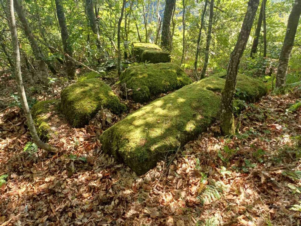 572167394_10240159455824014_5633061752492115637_n-1024x768